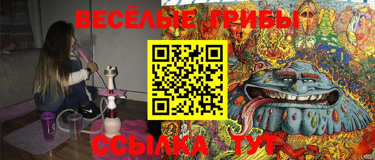 Псилоцибиновые грибы Psilocybine cubensis Воскресенск